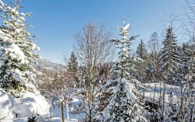 Sunlit Chalet near Ski Area in Hopfgarten im Brixental