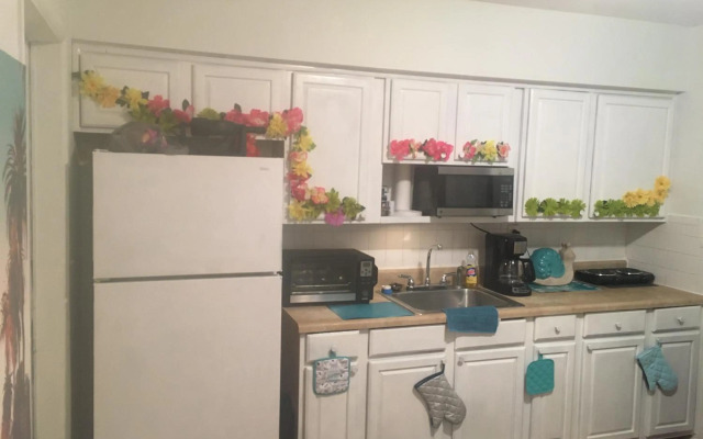 Hostel - 旅館 - общежитие