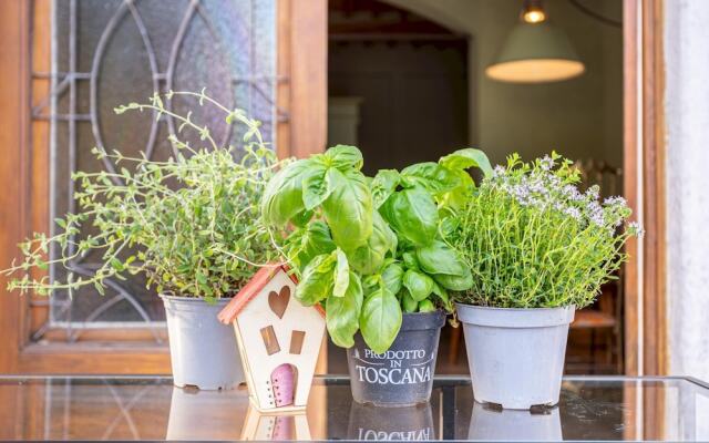 Aromatic Green House