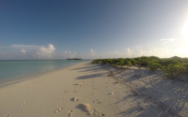 Rasdhoo Coralville