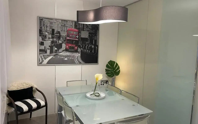 PUERTO BANUS Apartamento DUO