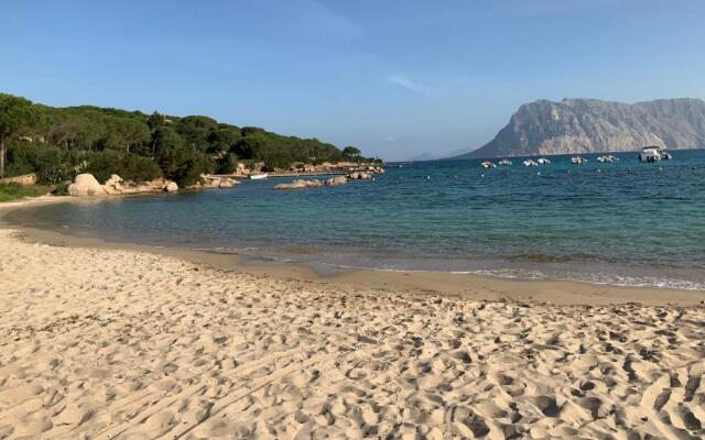 CASE IN STYLE 1 Residence Tavolara