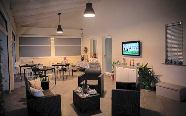 B&B Dionea