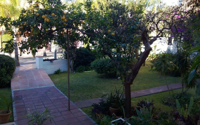 Hostal Escandinavia
