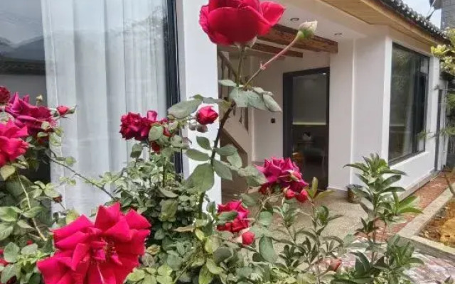 Bamboo Sea B&B (Sanyi International Airport Branch)
