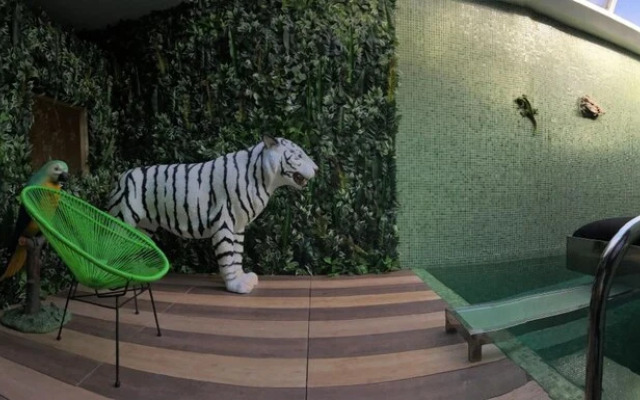 Motel Venus Madrid Norte - Adults Only