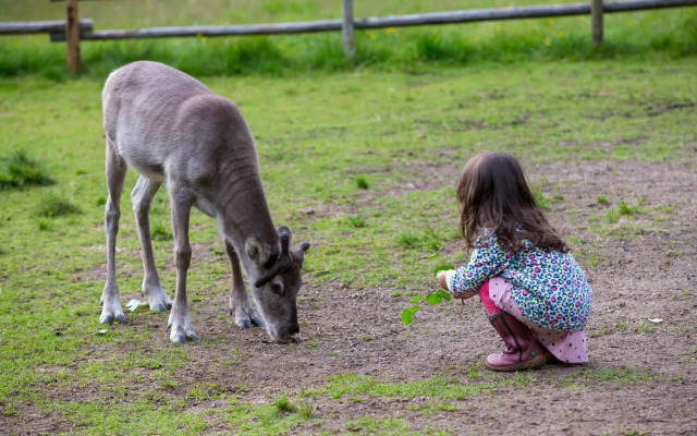 Ounasvaara Lakituvat chalets