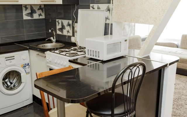 Transitional Havryky Apartment