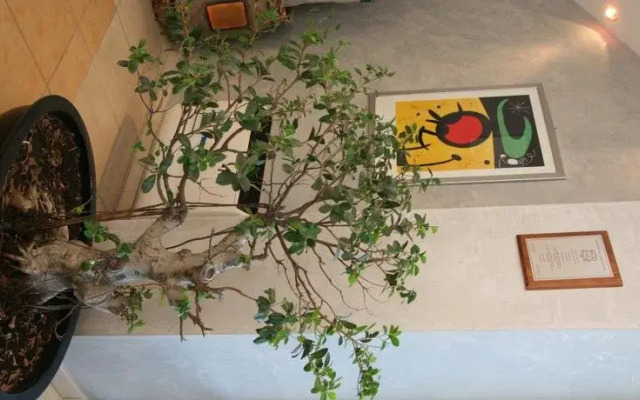 Residence Felicioni