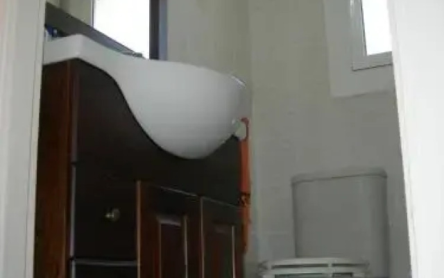 Gaviota Y Vora Mar