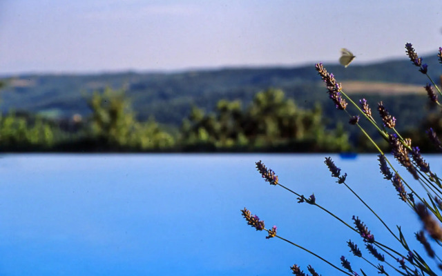 Casa Bosco a Stone Mansion in Chianti