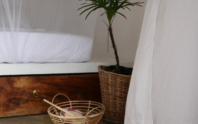 The Nuga House