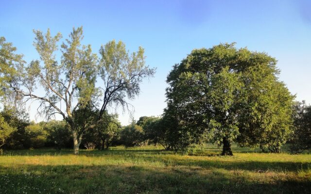 Les Oliviers d'Uzes