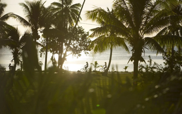 Raiatea - Studio Tumaraa