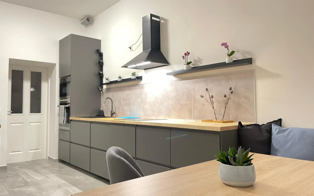 BIG Apartment Vienna