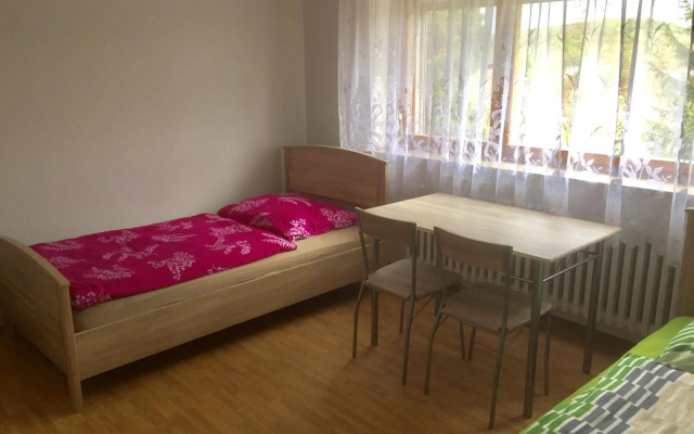 Mainzimmer Business Appartment - Monteurwohnung mit Burgblick