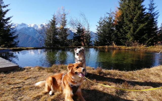 Apartment Hohe Tauern