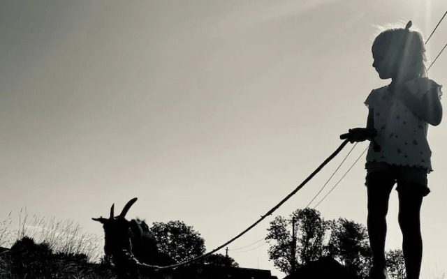 Ferienhof Neukirchinger