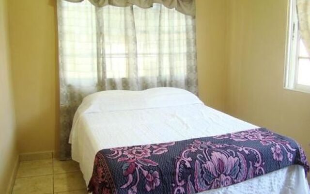 The Guaras Hostal - Hostel