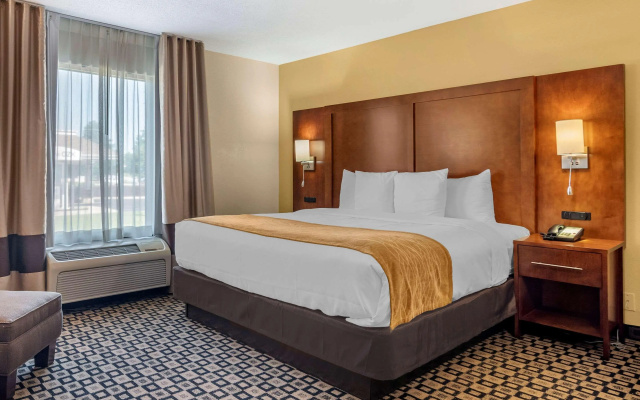 Comfort Inn & Suites Athens North