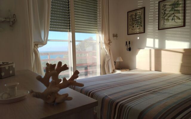 a Vacation That Becomes a Dream