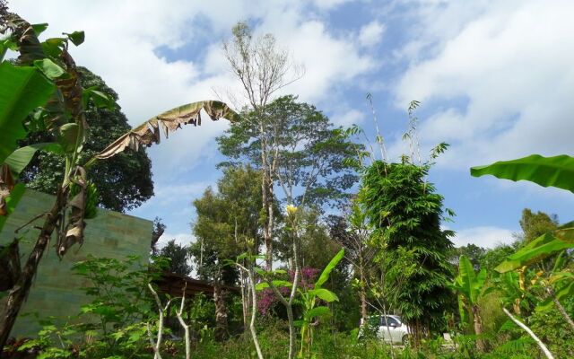 Senetan Villa and Spa Resort