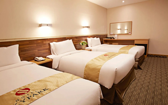 Hotel Skypark Myeongdong I