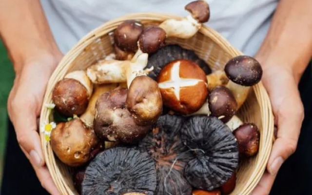 LUX* Tea Horse Road Benzilan