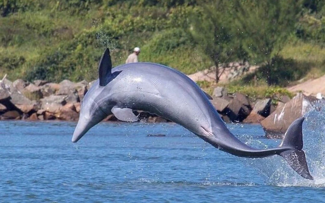 Resid. Clube Mar Grosso-Laguna - LAG706