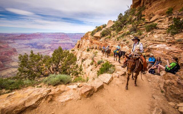 Holiday Inn Express & Suites Grand Canyon, an IHG Hotel