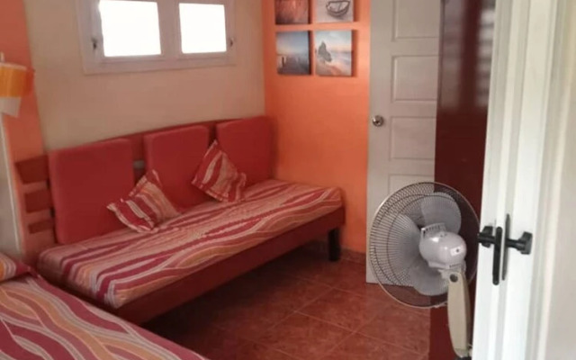 The Brother's House
