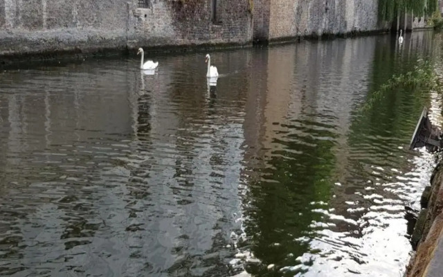 Amazing Apartment in De Haan Near Beach