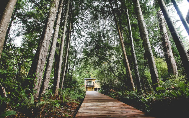 Duffin Cove Oceanfront Lodging