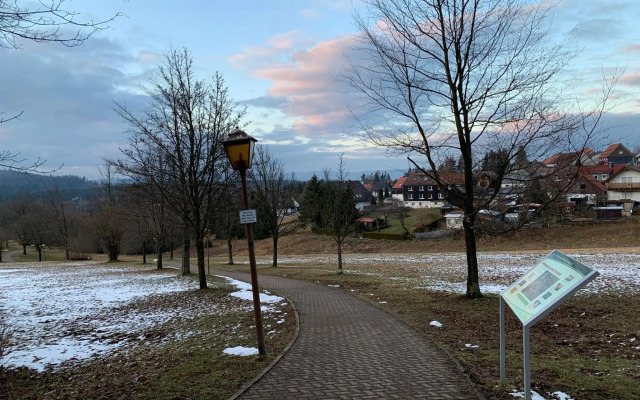 Gemütliche Ferienwohnung Harz Braunlage Hohegeiß