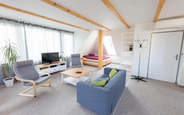 APARTMANY Plzeňská 465 Free PARKING & PS3