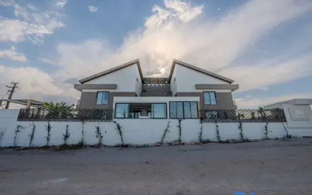 Moon Shine - Adults Only 12 Plus