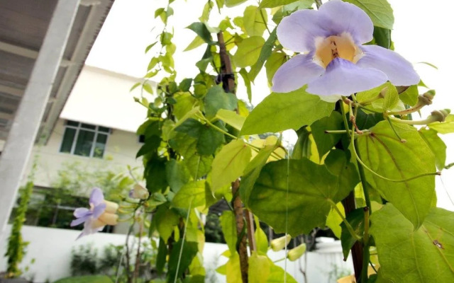 Red Apple Leisure Stay