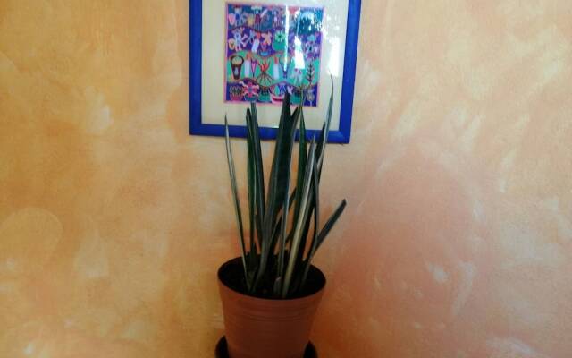 Apartment Maria Luisa