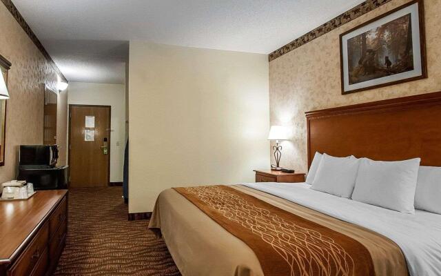 Comfort Inn & Suites Branson Meadows