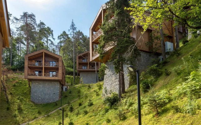 Hancioglu Orman Evleri ve Hotel