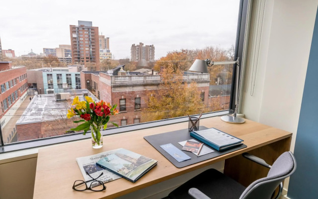 The Study at Yale