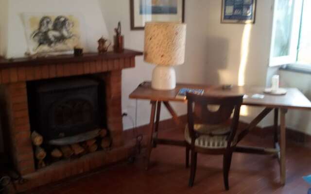 B&B Salino