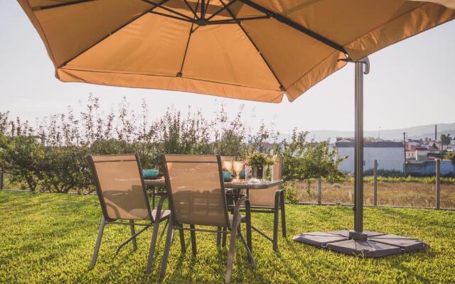 Viana do Castelo Home