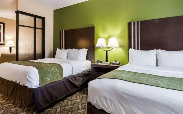 Comfort Suites Jewett