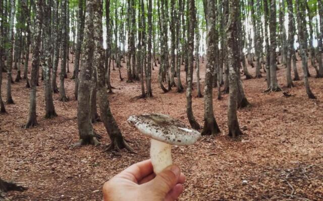 Appartamento Valeria