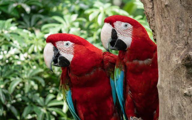 Campanile Limoges Nord