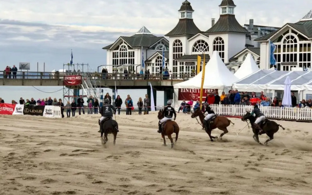 Heart Shell in the Villa Li