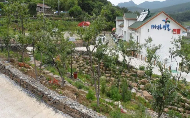 Tongyoung Macaio Pension