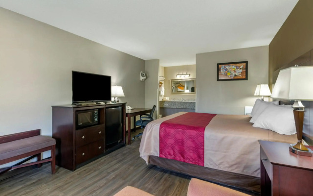 Econo Lodge Lynchburg South