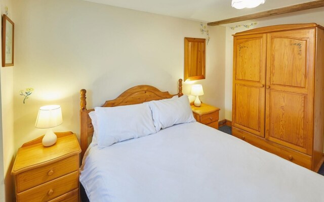 Host Stay Owl in Newton-on-rawcliffe